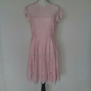 bb dakota jayce lace sheath cocktail dress